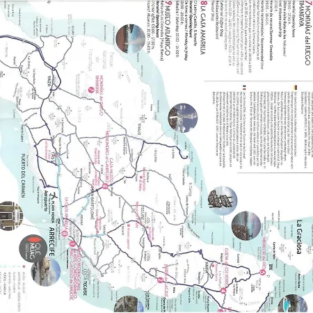 Estudio Del Pescado En El Charco * Arrecife (Lanzarote)