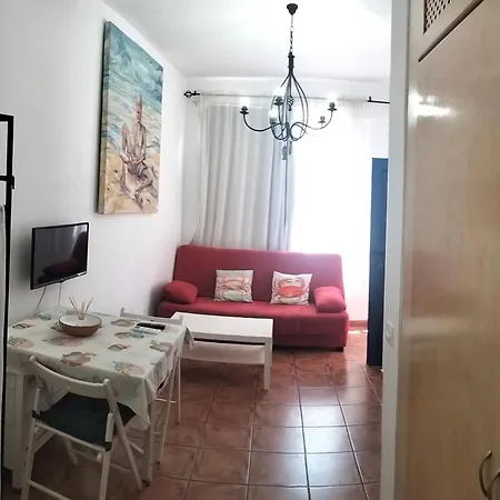 Estudio Del Pescado En El Charco Apartamento