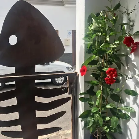 公寓 Estudio Del Pescado En El Charco 阿雷西费