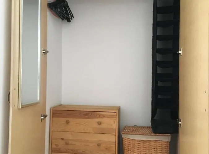 Estudio Del Pescado En El Charco