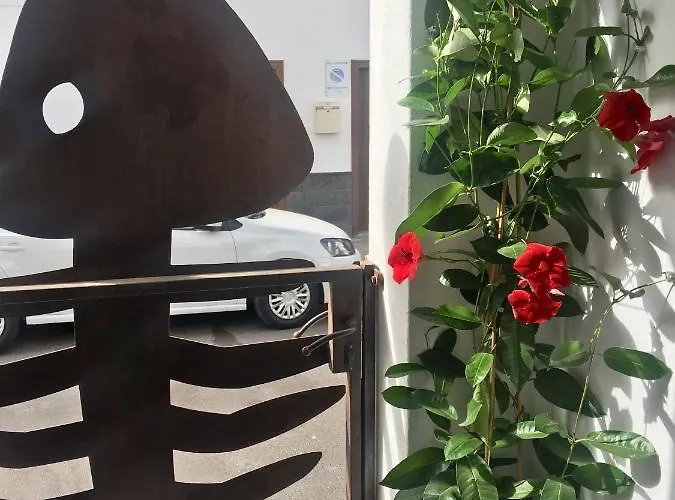 Daire Estudio Del Pescado En El Charco Arrecife (Lanzarote)