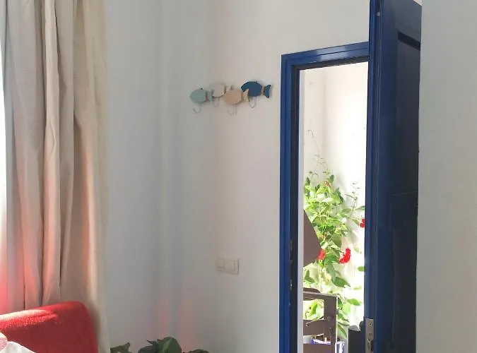 Estudio Del Pescado En El Charco Arrecife (Lanzarote)