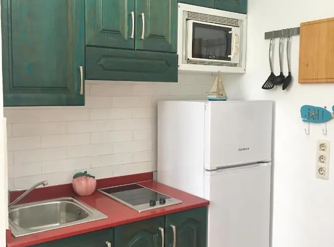 Estudio Del Pescado En El Charco Arrecife (Lanzarote)