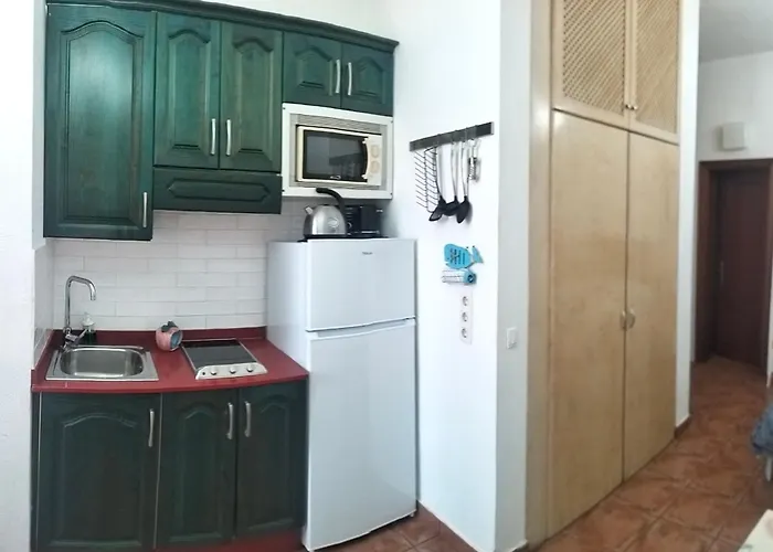 Estudio Del Pescado En El Charco *