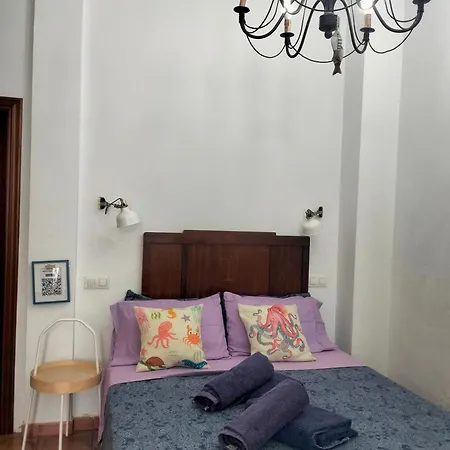 Estudio Del Pescado En El Charco 아리시페